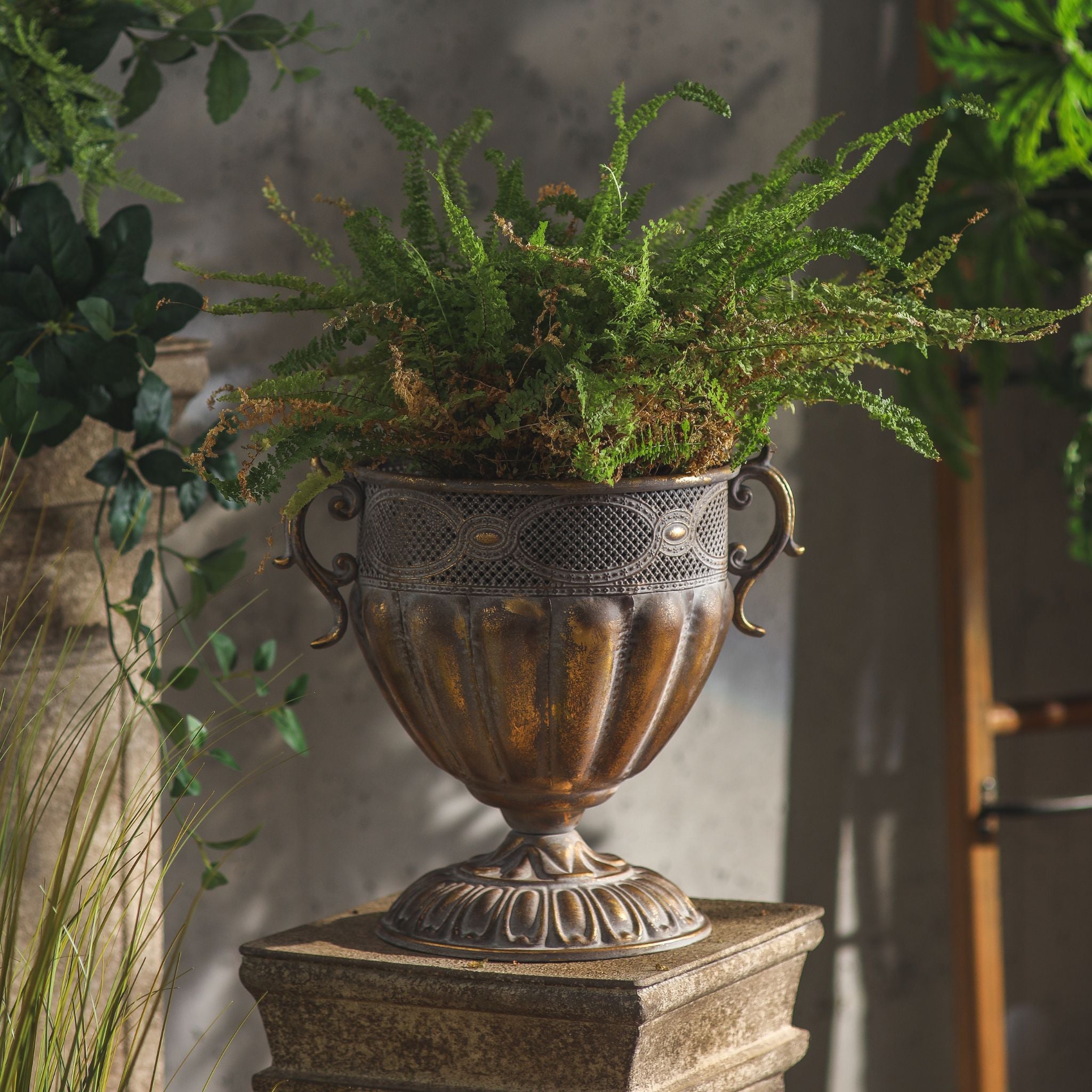 Benjamin urn planter styled with a fern, full view of the handled shape and pedestal foot.