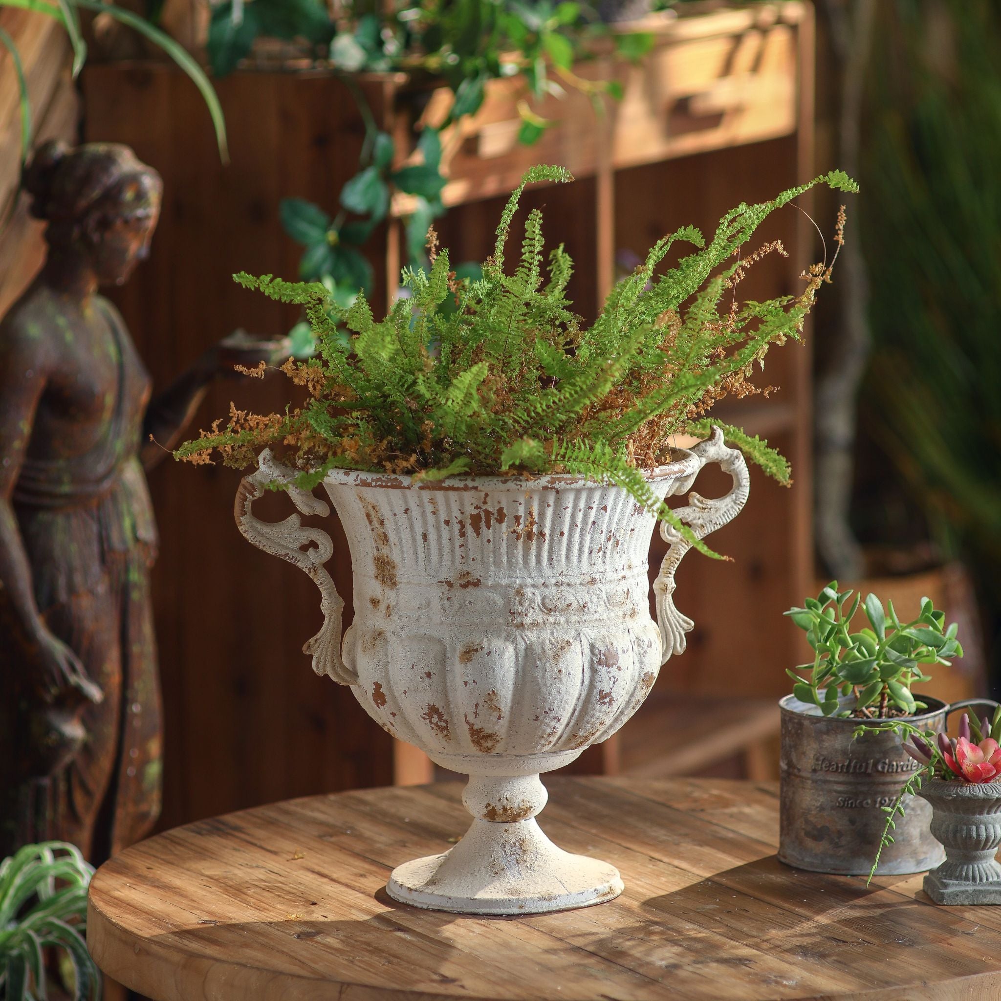 Benoît French Provincial urn planter in distressed antique white, planted with a fern on a timber table. Hero.