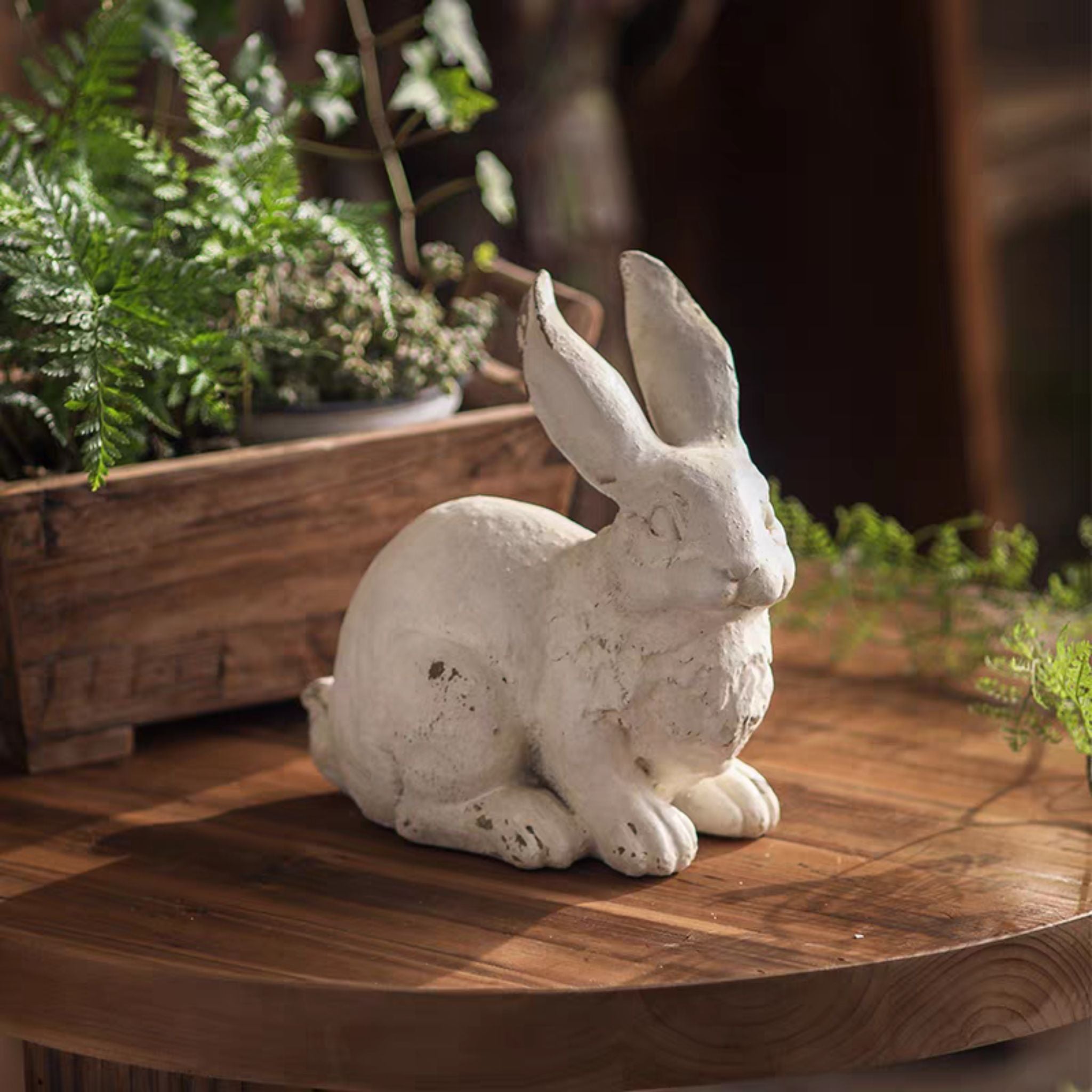 Side profile, crouched on round table, ferns + crate
