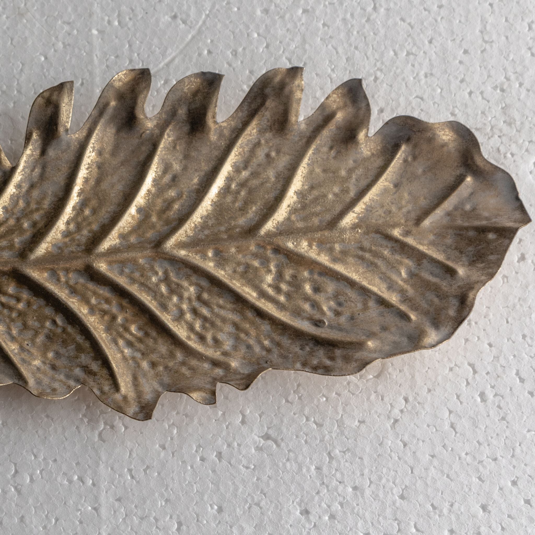 Close view of the raised veins, dotted texture and serrated edge of the leaf dish