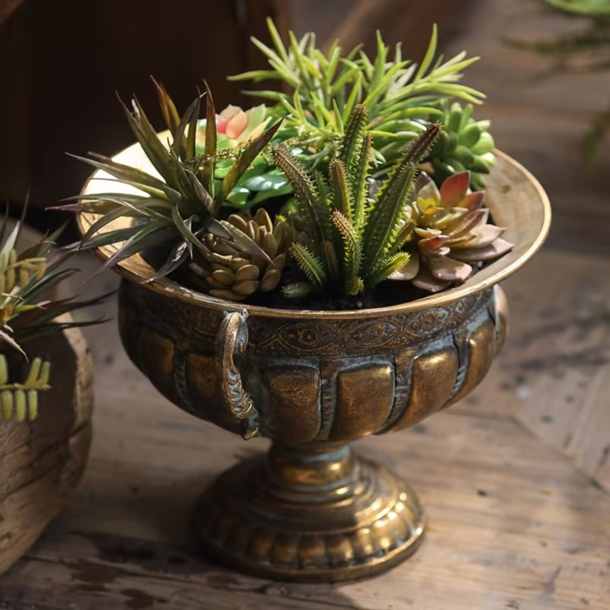 Dominique footed urn planter with a mixed succulent and cactus arrangement