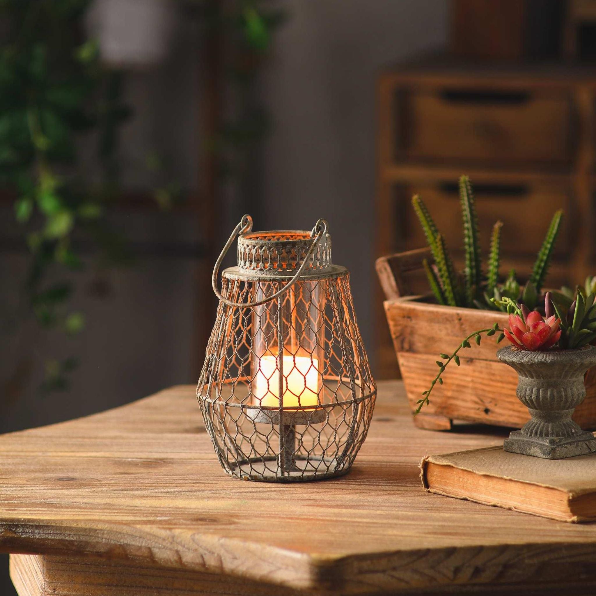 Berenice French Provincial wire cage candle lantern in weathered grey with a beaded collar, glass insert and lit pillar candle, on a timber table with succulents.