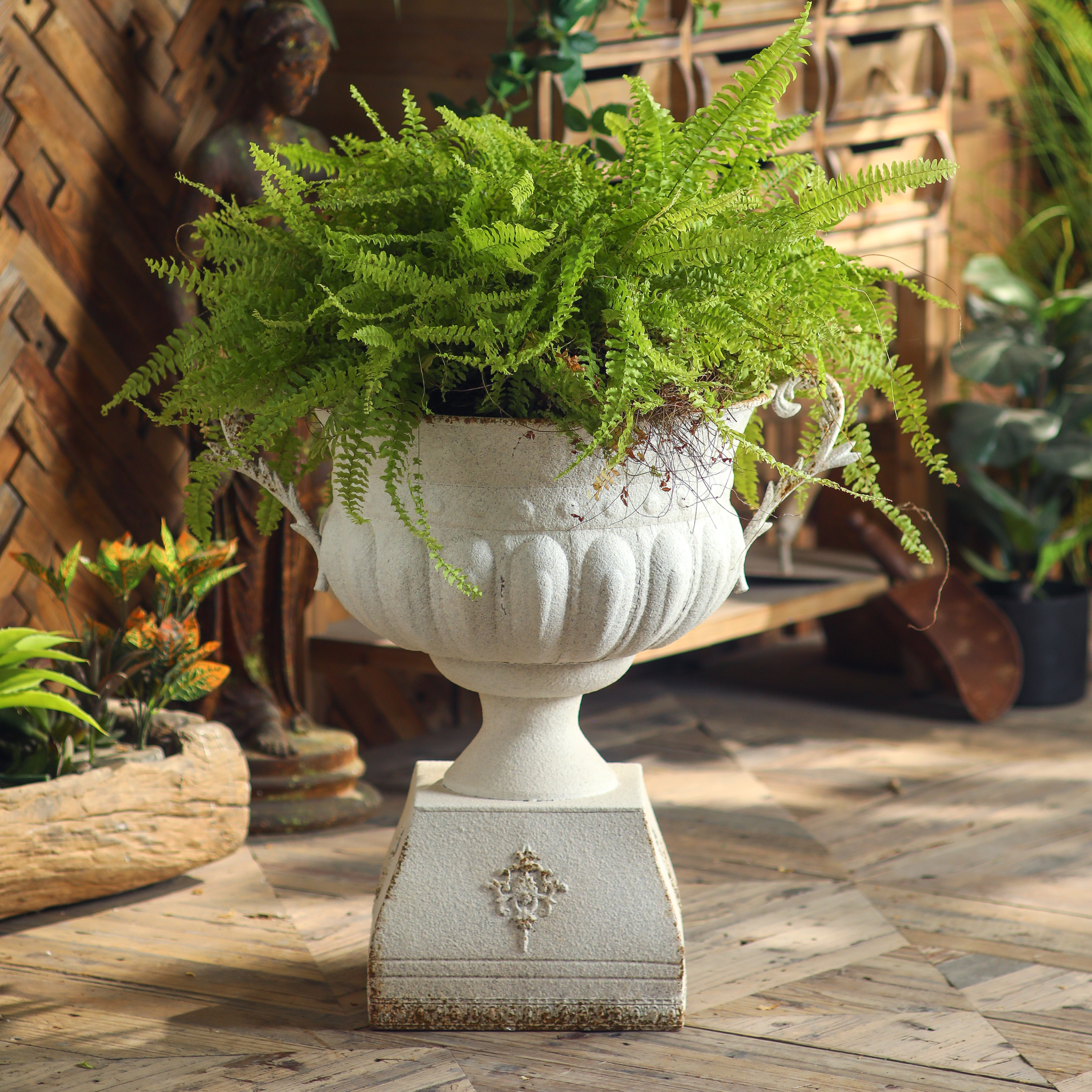 Héloïse French Provincial iron urn planter on plinth styled with ferns in a courtyard