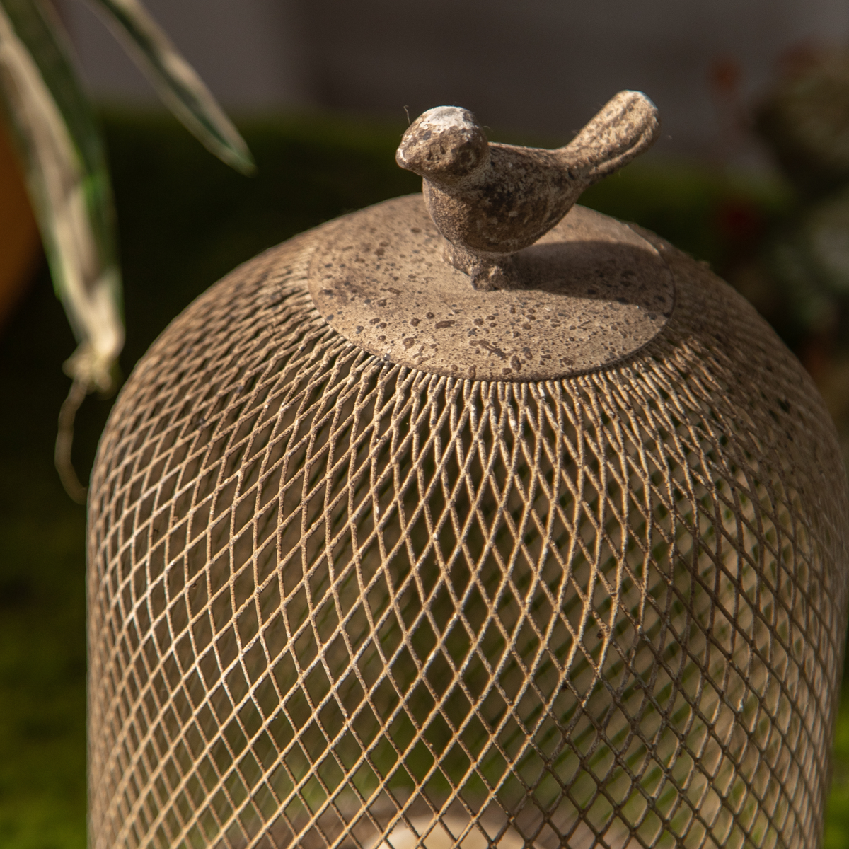 Joel candle cloche, daylight detail of the wire mesh dome and cast bird finial.