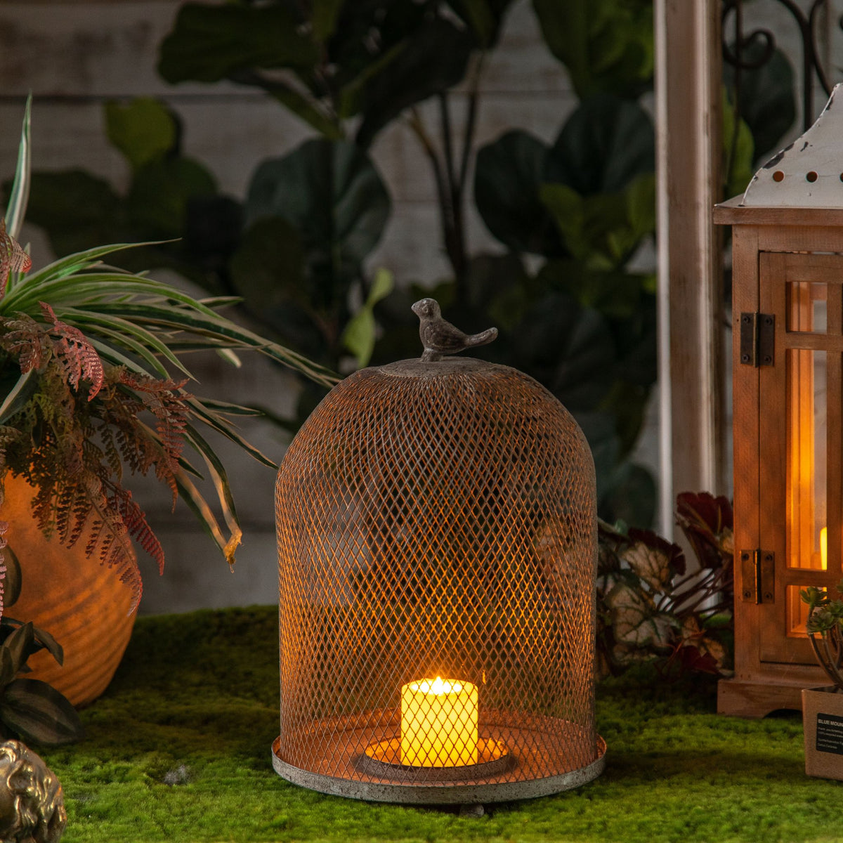 Joel candle cloche lit over a candle in a garden setting.