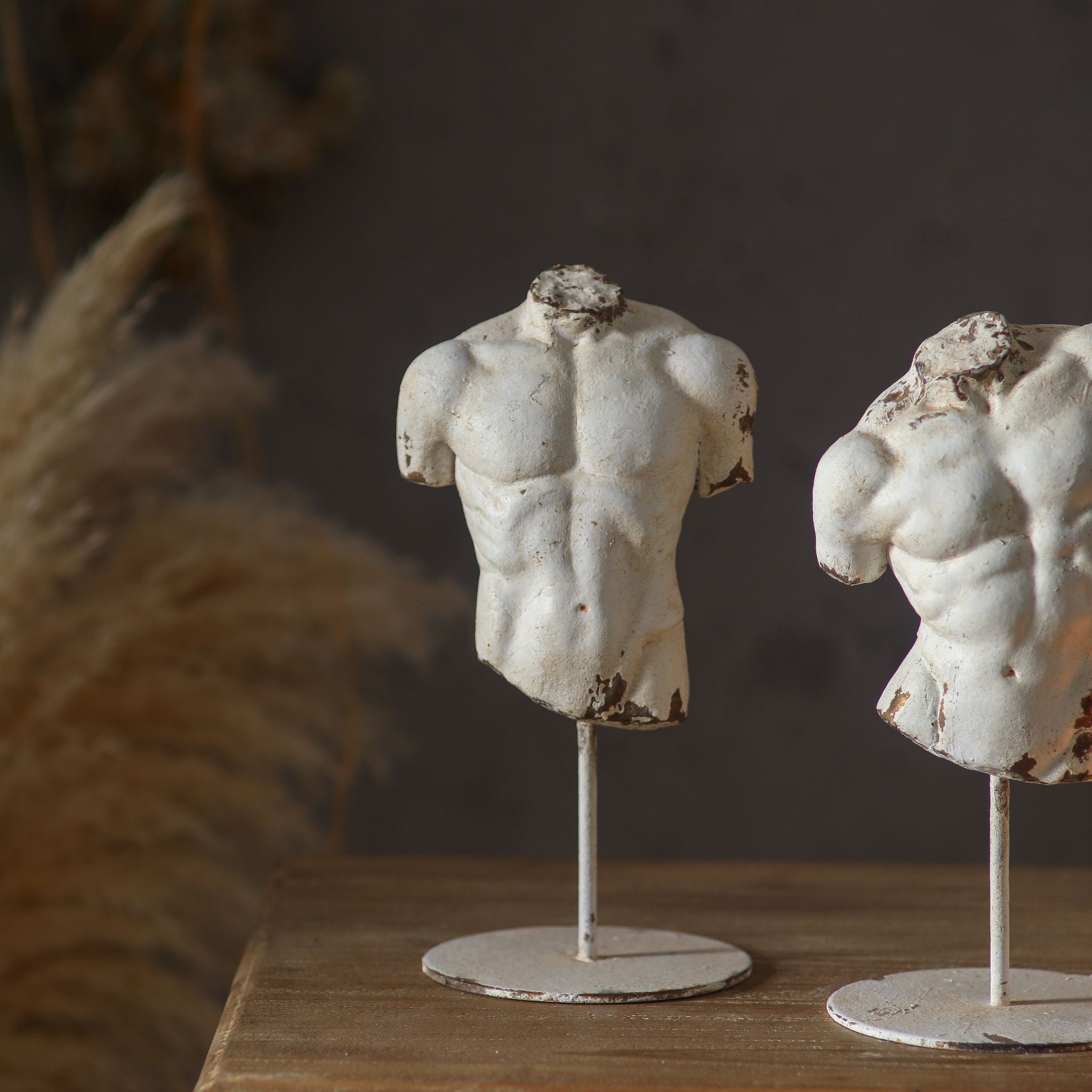 Cassius on the left shown close with companion torso Adonis, antique whitewash flaking to terracotta