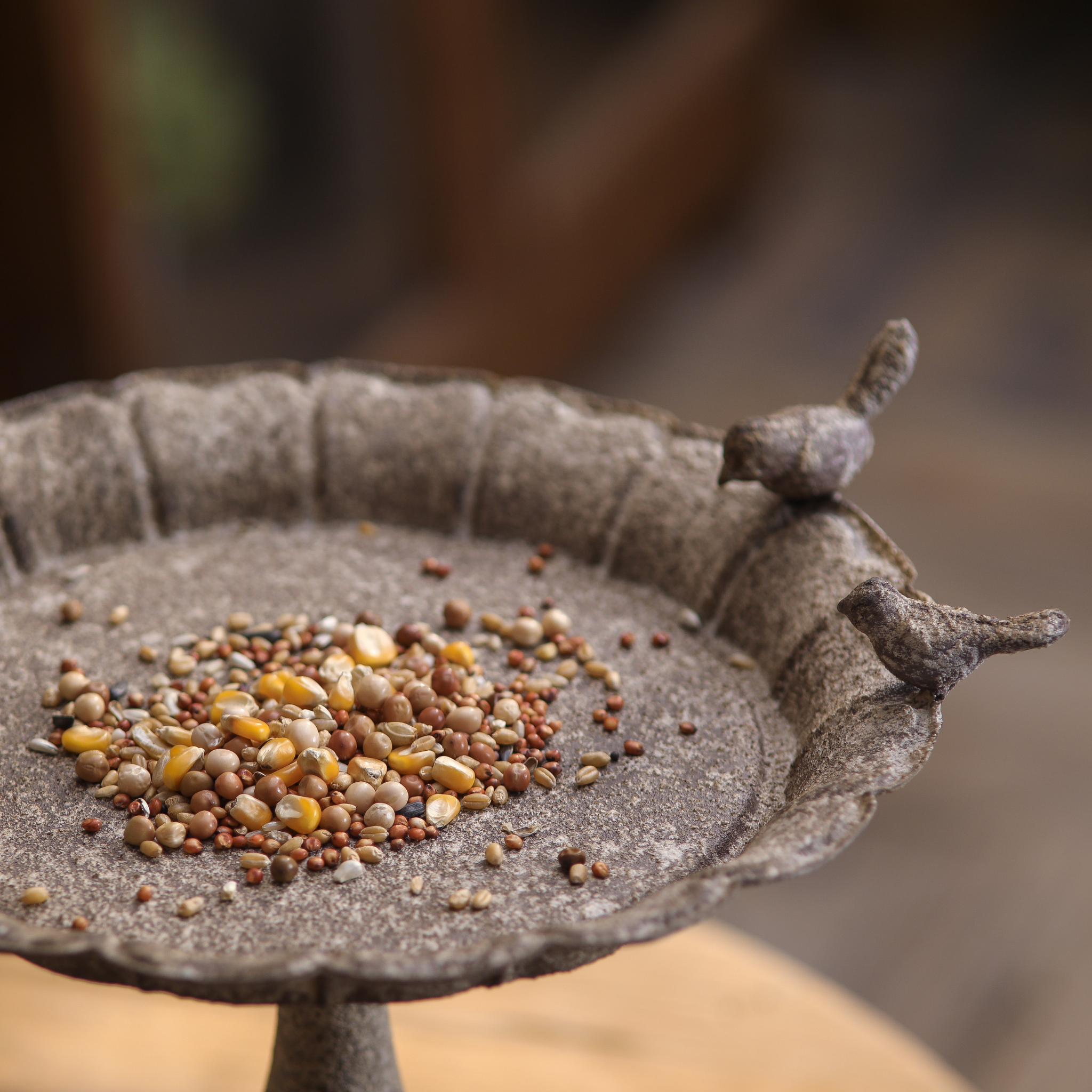 Top-down detail of Manon bird feeder dish showing scalloped rim and two sculpted iron birds