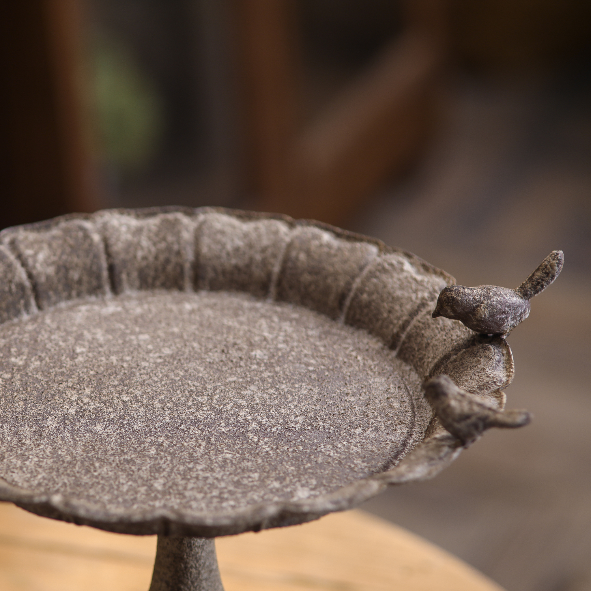 Empty dish view of Manon bird feeder showing aged stone-grey patina and bird detail