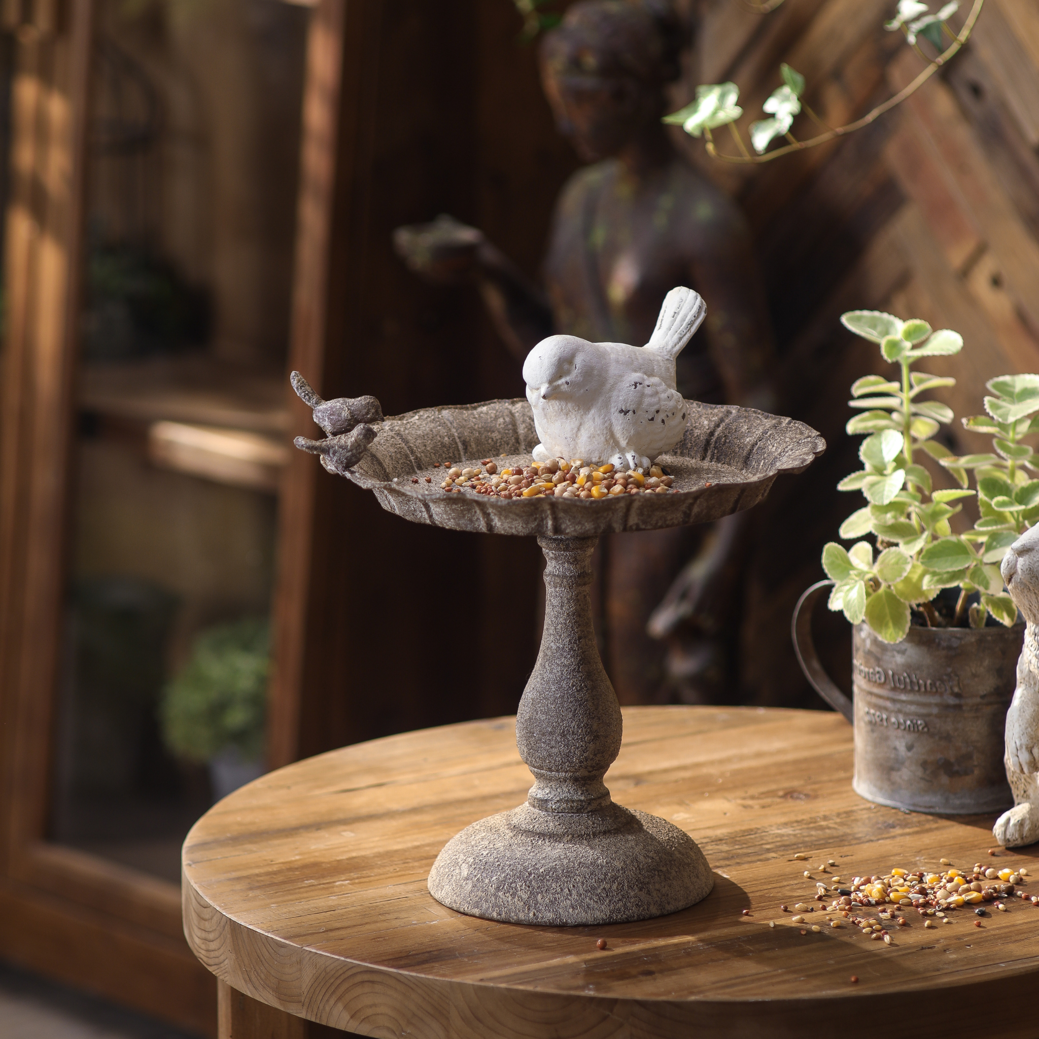 Manon pedestal bird feeder in a French country courtyard with white bird and trailing ivy