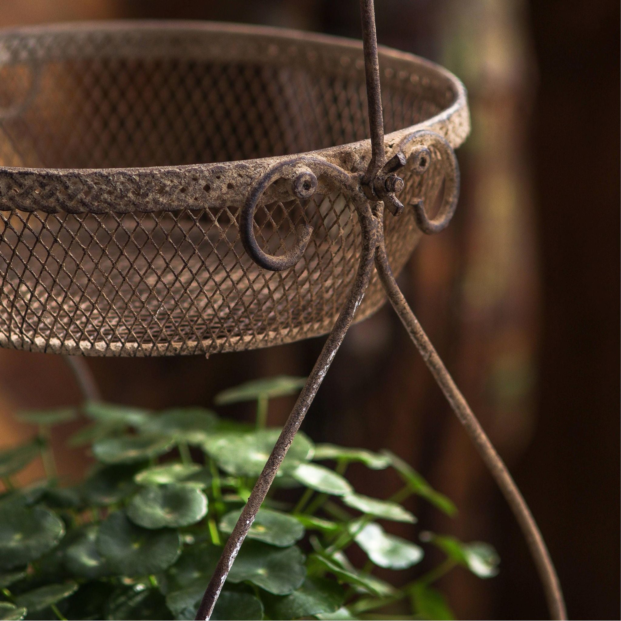 Close detail of the Oscar basket rim braid, diamond mesh weave, and a C-scroll support join