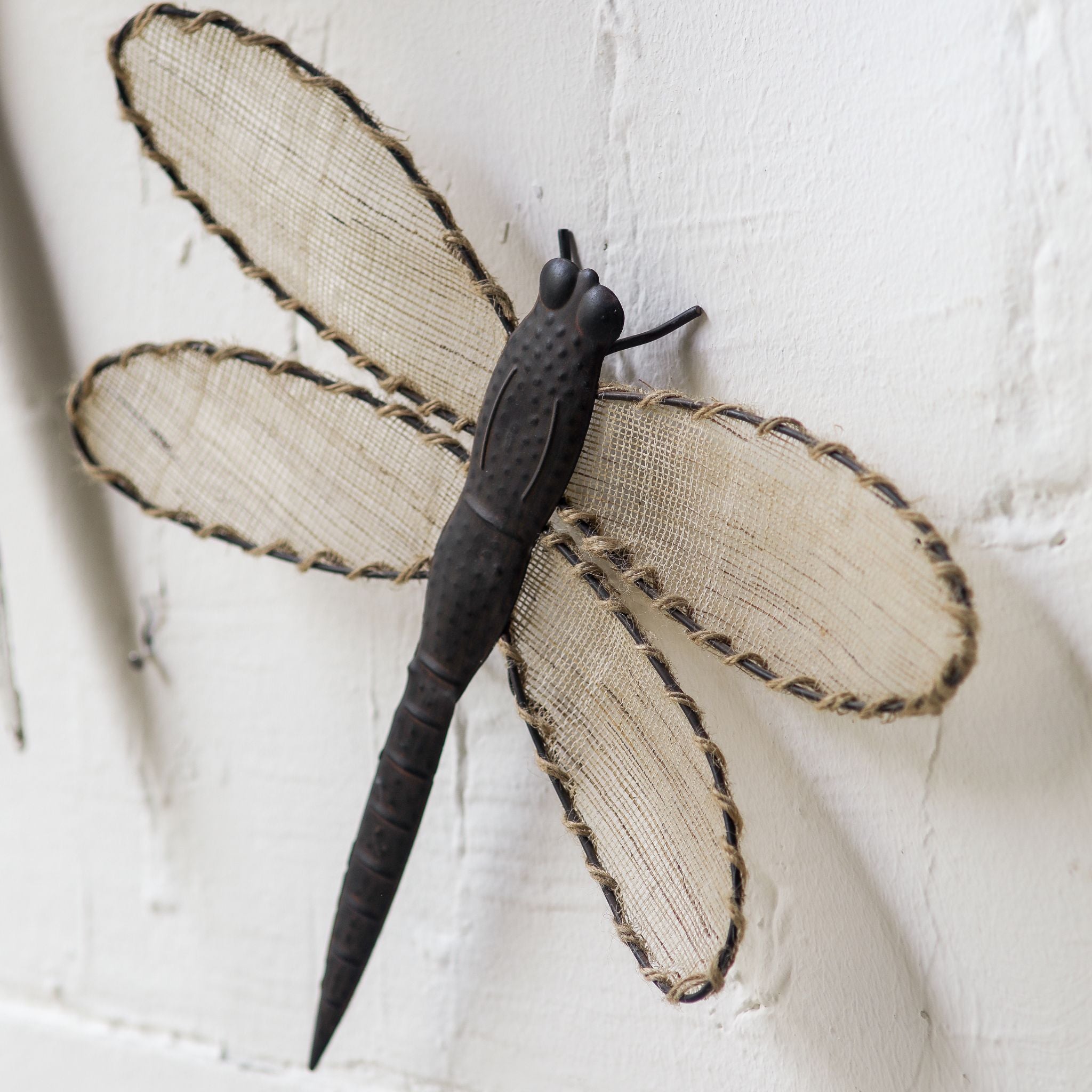Close view of the dotted dark metal body, head and antennae with woven jute wings edged in rope