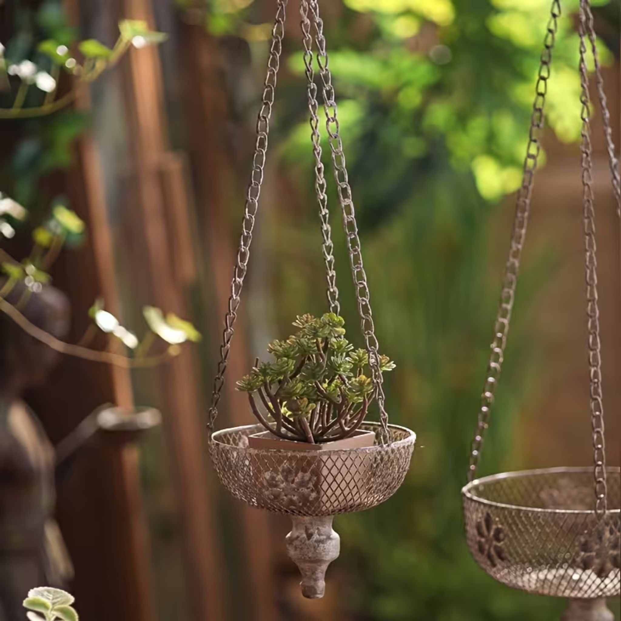 Toulouse pair of hanging planters at different heights in a garden.