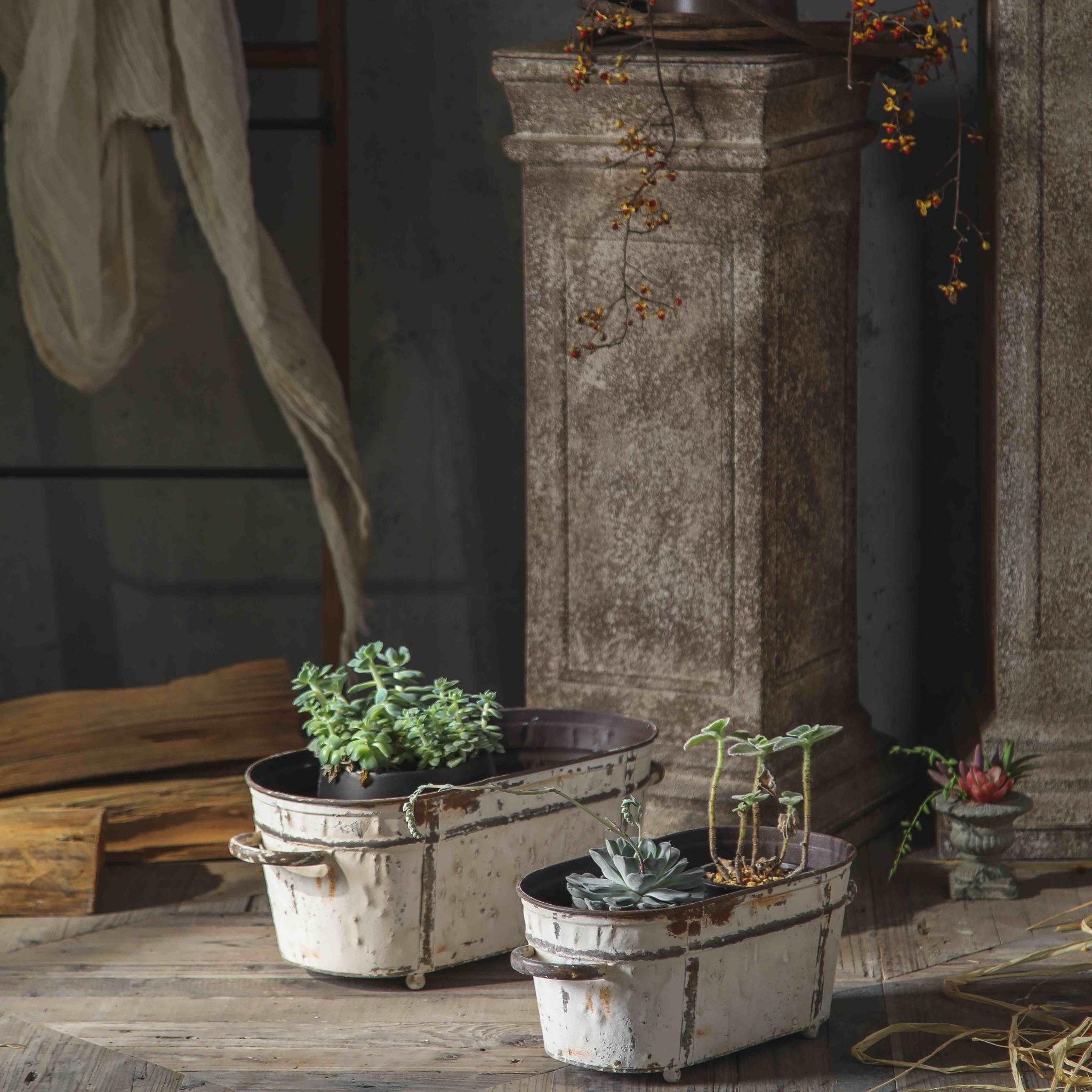 Lucie trough planter set planted with succulents, styled on a timber floor