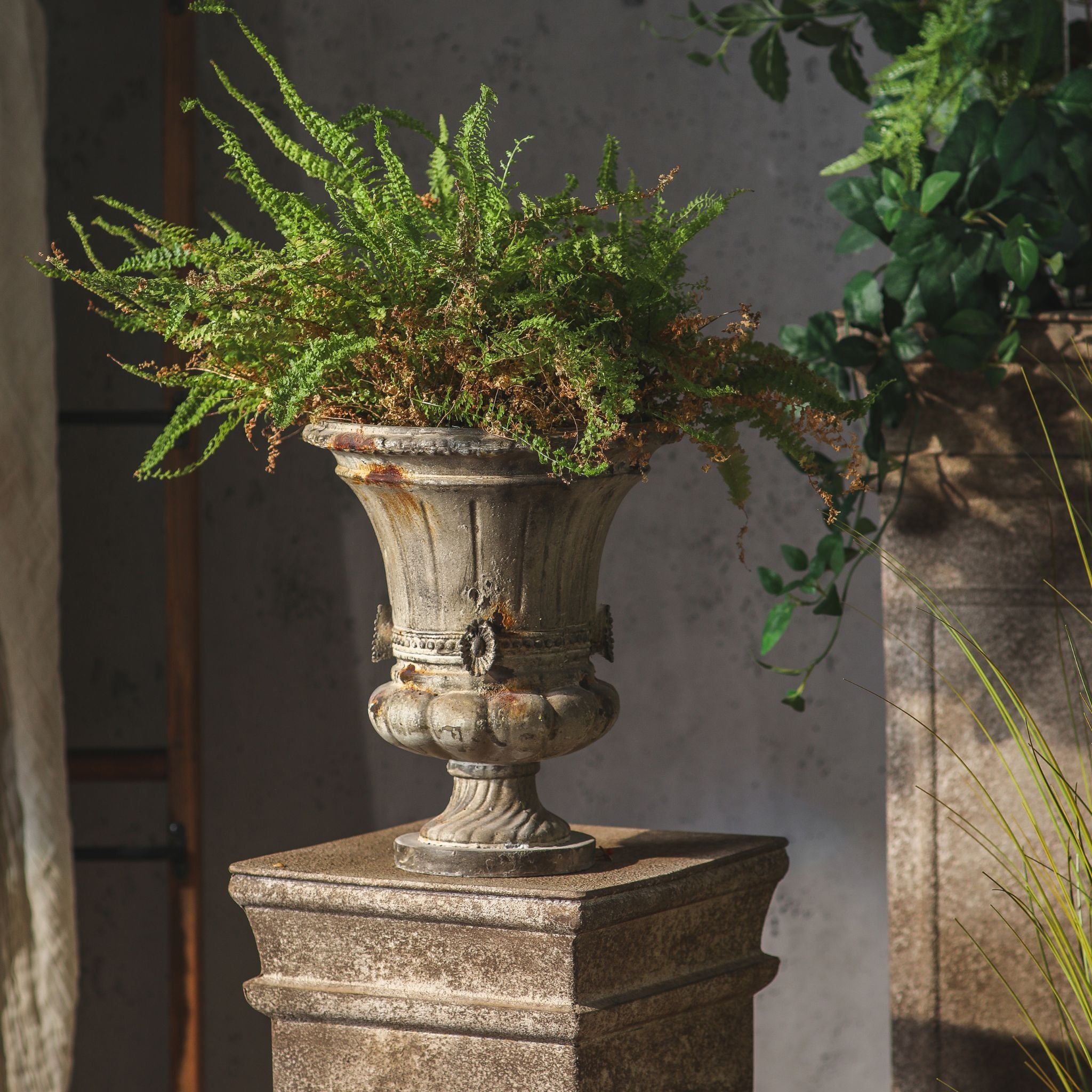 Julie aged urn planter, classical Medici shape with rosette medallions and a beaded band fern