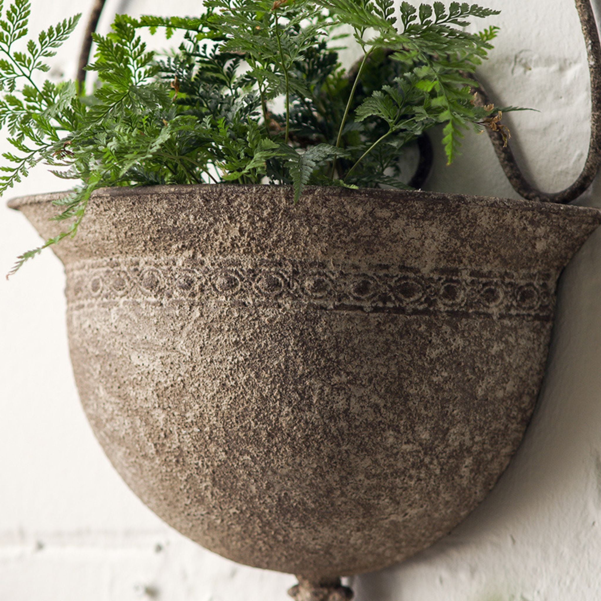 Sabine wall planter planted with a fern, decorative band below the rim