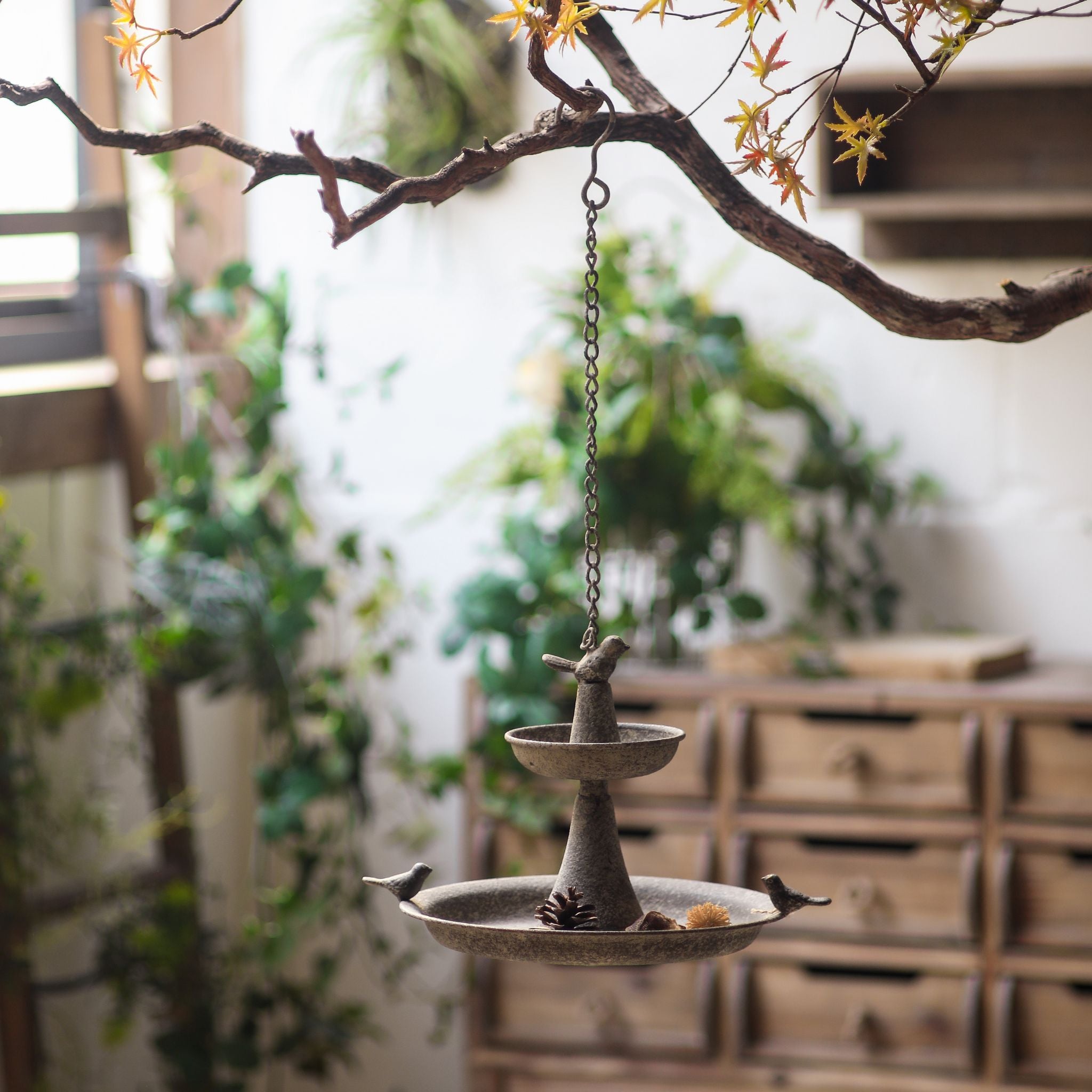 Penelope two-tier hanging feeder styled with pinecones in a plant-filled room.